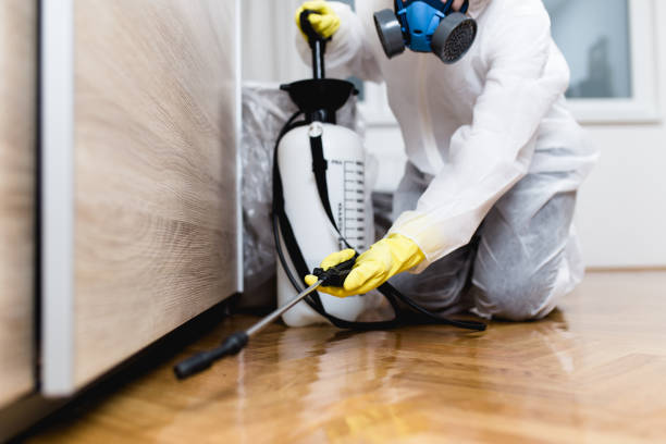 Best Pest Inspection Near Me  in Spring Grove, IL