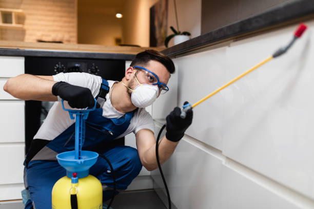 Best Rat Extermination Near Me  in Spring Grove, IL