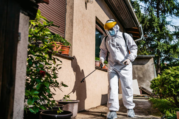 Best Best Pest Control Companies  in Spring Grove, IL