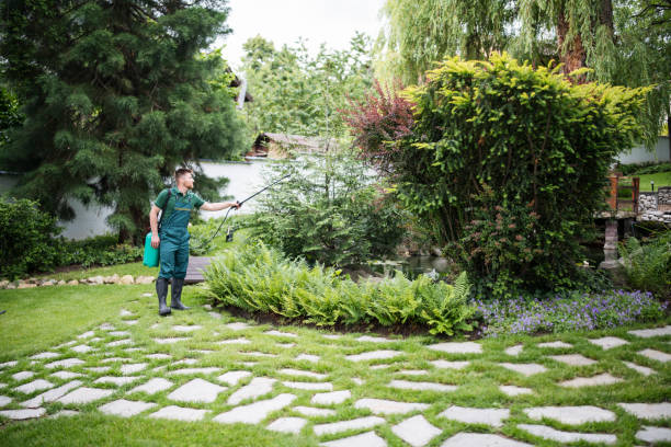 Professional Pest Control in Spring Grove, IL