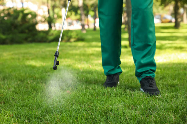 Best Rodent Control Near Me  in Spring Grove, IL