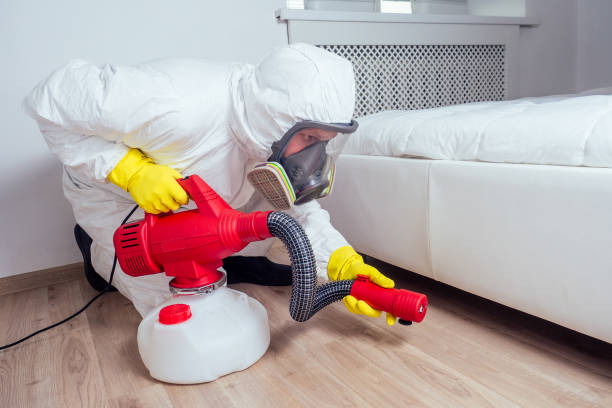 Best Mosquito Control Services  in Spring Grove, IL