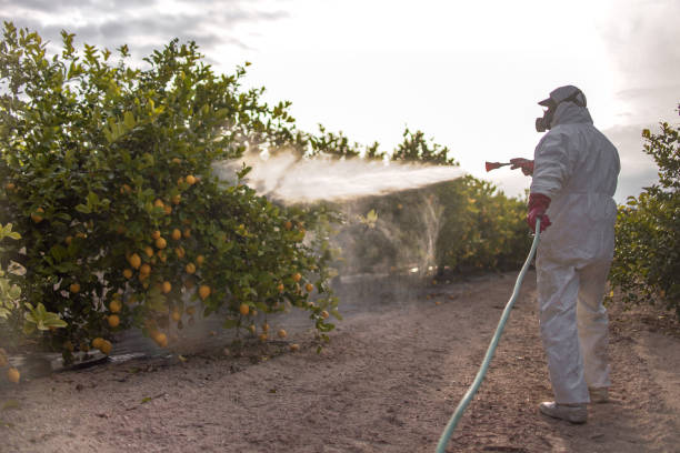 Spring Grove, IL Pest Control Company
