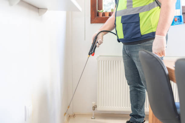 Best Wasp Removal Services  in Spring Grove, IL