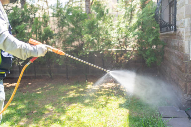 Best Affordable Pest Control Services  in Spring Grove, IL