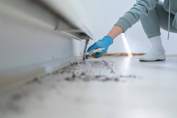Best Pest Removal Services  in Spring Grove, IL